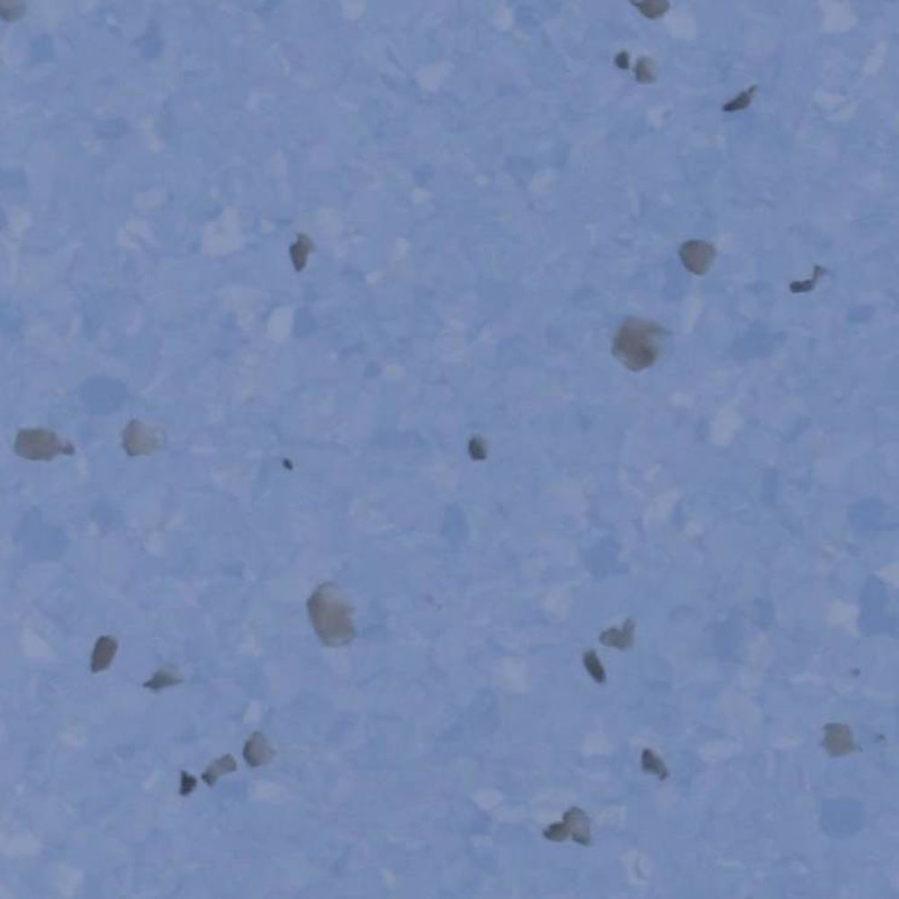 Homogeneous pvc vinyl floor WHO-A67